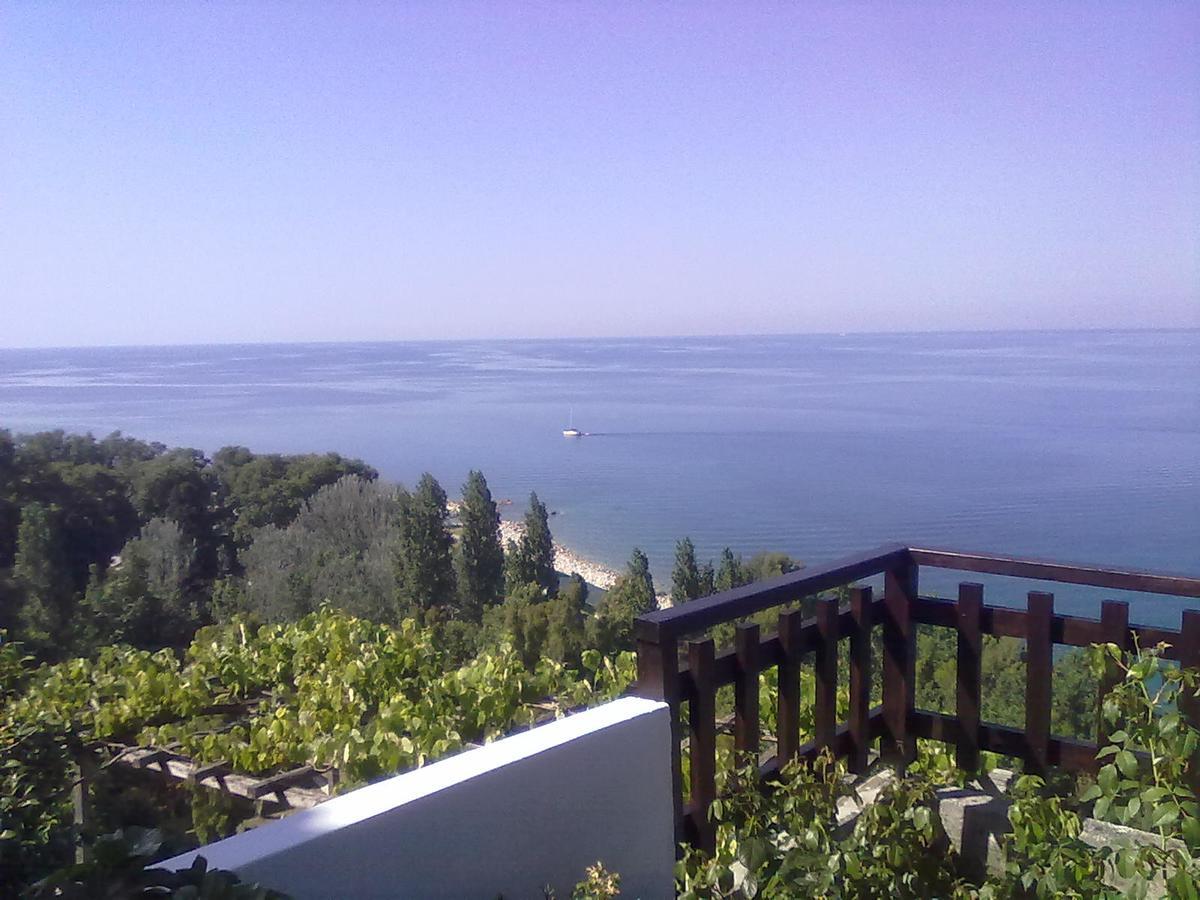 Pelion Orama Agios Ioannis (Thessaly) Exterior foto