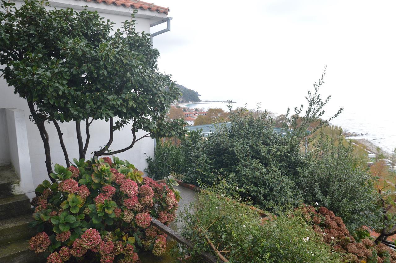Pelion Orama Agios Ioannis (Thessaly) Exterior foto