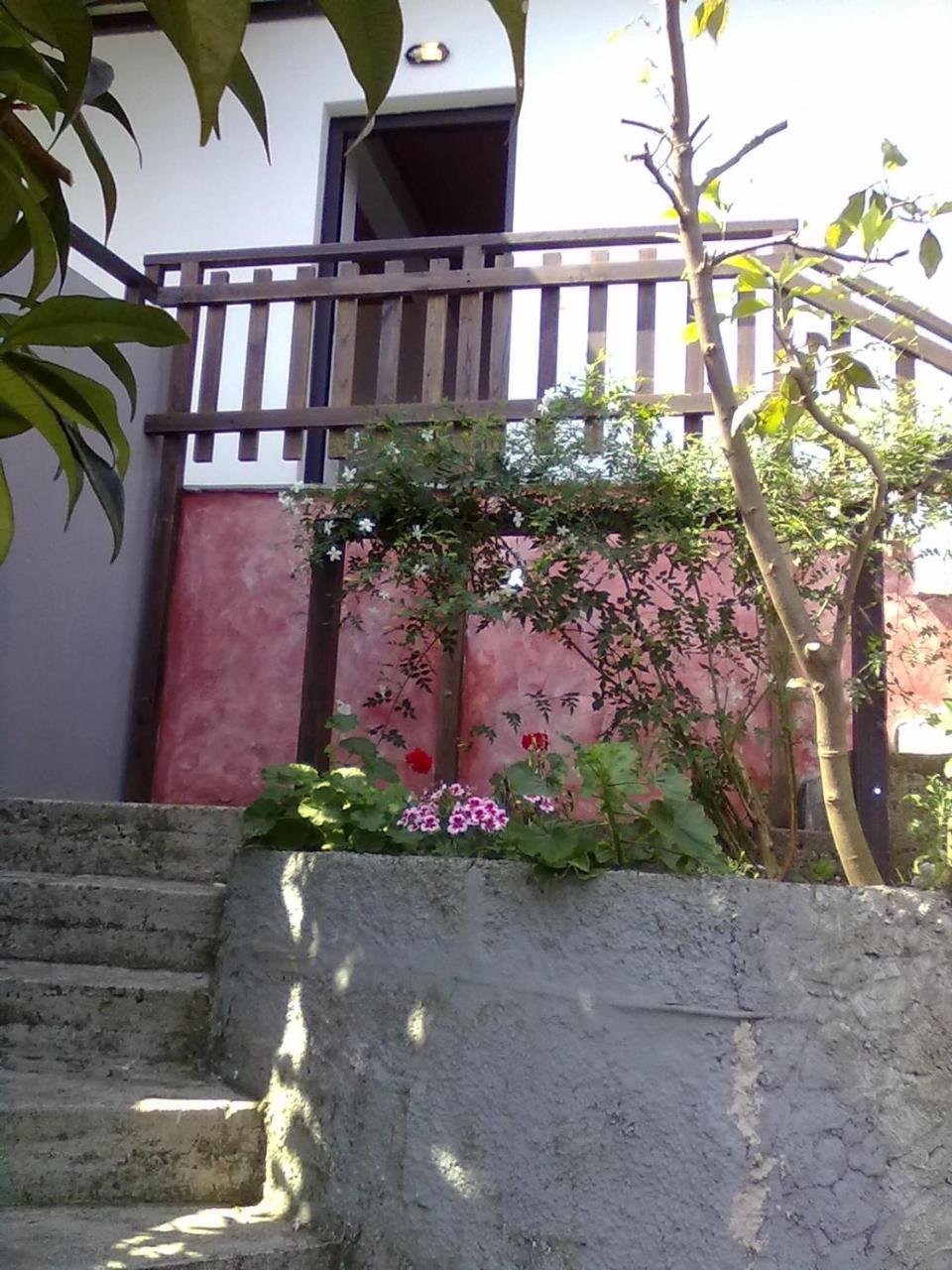 Pelion Orama Agios Ioannis (Thessaly) Exterior foto